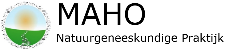 MAHO Logo met bedrijfsnaam 2020